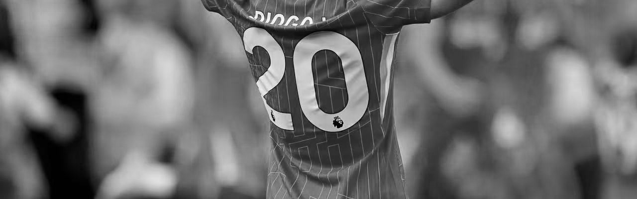 博主发若塔车祸路段实拍：道路受损严重急需维修，常有野生动物出没