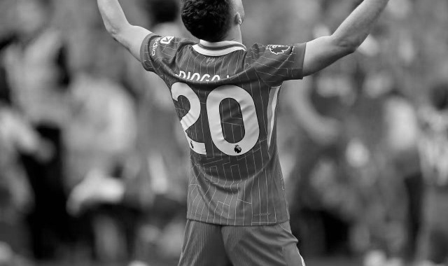 博主发若塔车祸路段实拍：道路受损严重急需维修，常有野生动物出没